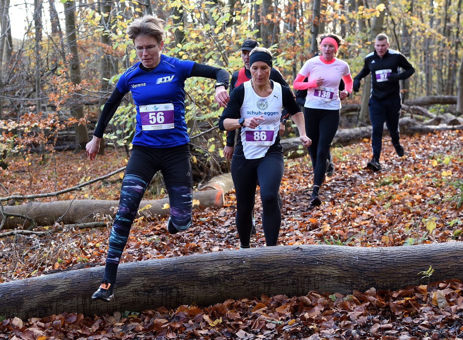 Crosslauf Baum